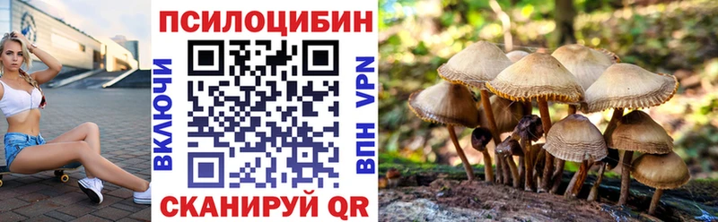 Галлюциногенные грибы Cubensis  Тетюши 